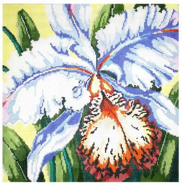 Orchid