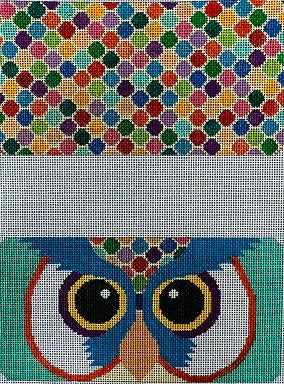 Owl Eyeglass Case