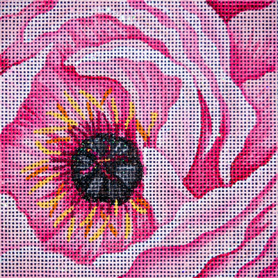 Pink Peony