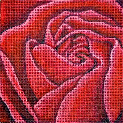Red Rose