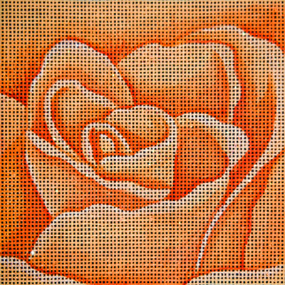 Yellow Orange Rose