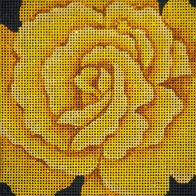 Midas Touch Rose