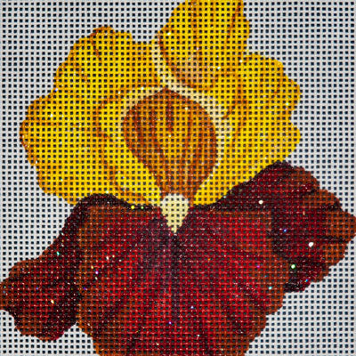 Yellow & Rust Iris 