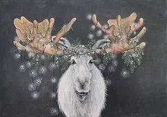 Barry Christmoose