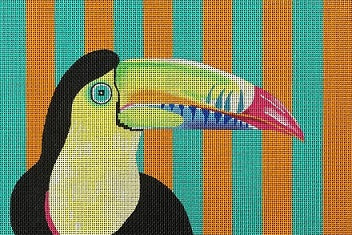 Toucan