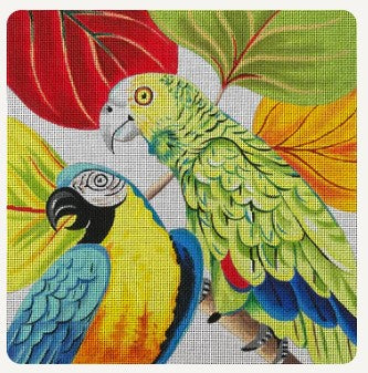 Parrots