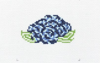 Hydrangea Haven