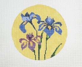 Iris