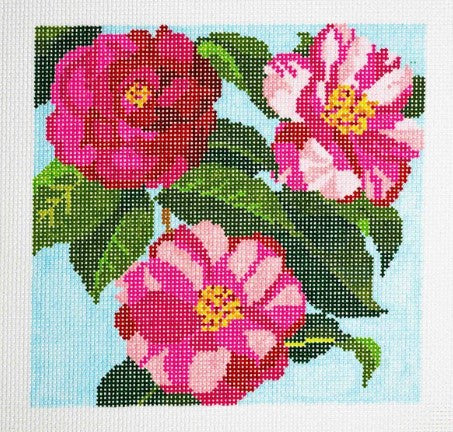 Three Camellias