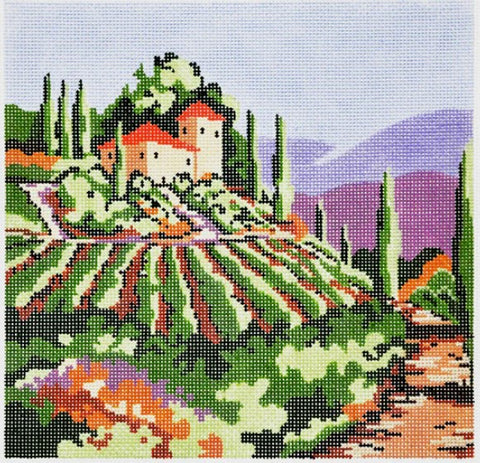 Tuscan Vineyard #1