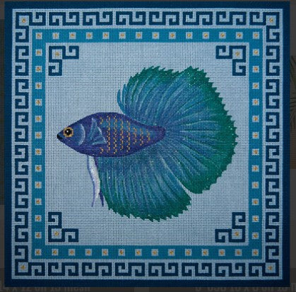 Turquoise/Blue Fighting Fish