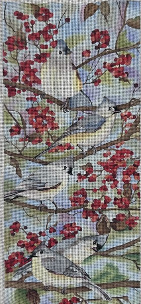 Titmouse Bird