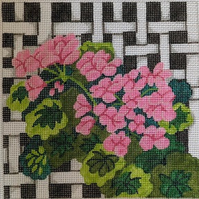 Pink Geraniums on Lattice