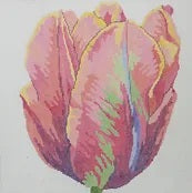 Empress Tulip