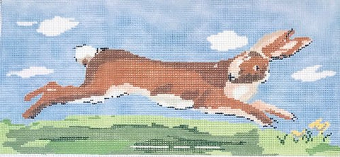 Hare - 13M
