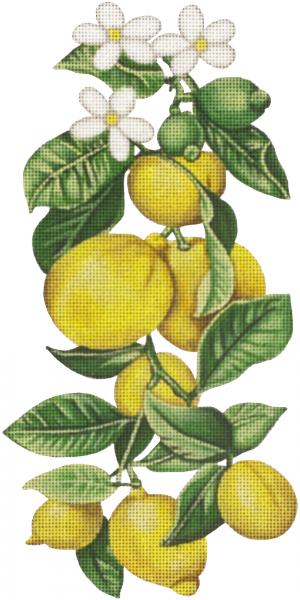 Lemons