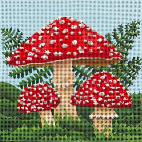Amanita Mushrooms