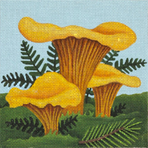 Chanterelle Mushrooms