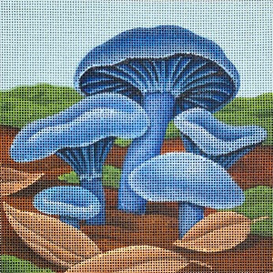 Blue Oyster Mushrooms