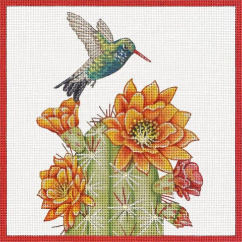 Hummingbird Cactus