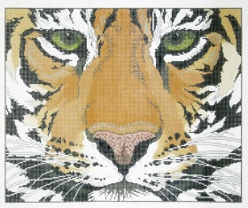 Tiger Face