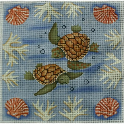 Sea Turtle and Shells