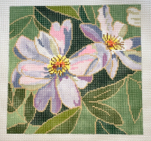 Peony - Lavender