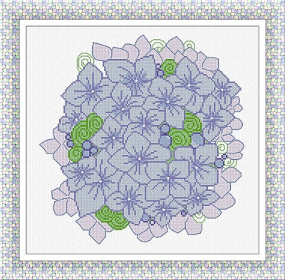 Ortensia/Hydrangea (AAN)