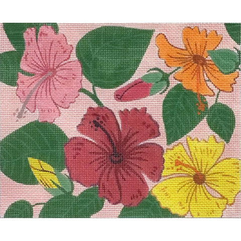 Hibiscus on Pink (Alice Peterson)