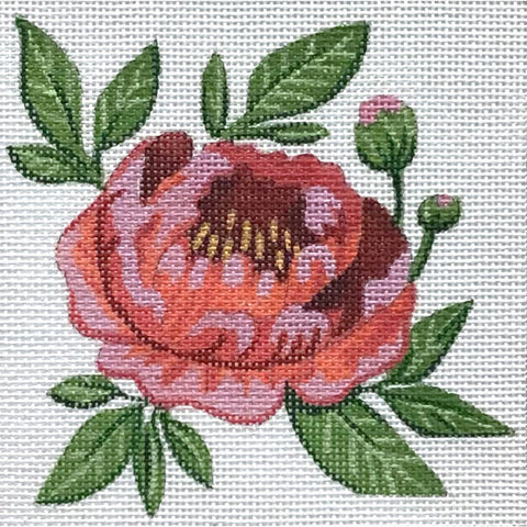 Single Red Peony (Alice Peterson)