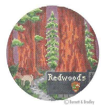 Explore America - Redwoods (Kirk and Bradley)