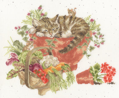 Purrrfect Spot (Hannah Dale)