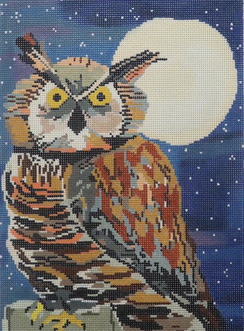 Great Horned Owl (Cooper Oaks)