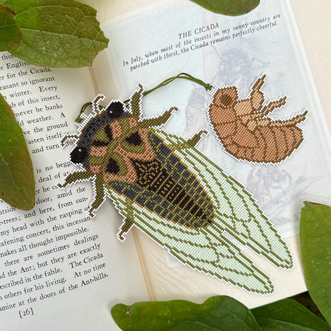 Cicada Season (Boomerang Stitches)