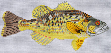 Bass (Danji Designs)