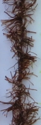 ES41 Solid Brown - Estaz Yarn