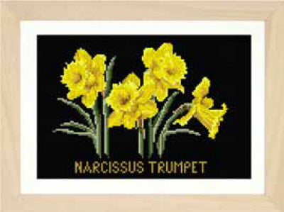 Narcissus Trumpet - Aida/Black (Thea Gouverneur)