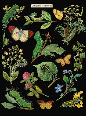Caterpillars & Butterflies - Aida/Black (Thea Gouverneur)