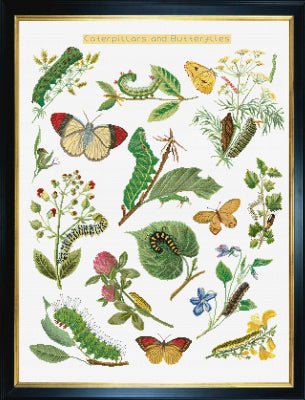 Caterpillars & Butterflies - Linen (Thea Gouverneur)