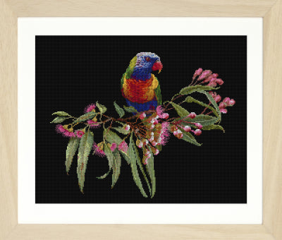 Parrot In Bloom - Black Aida (Thea Gouverneur)