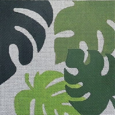 Monstera Leaves (Raymond M Crawford)