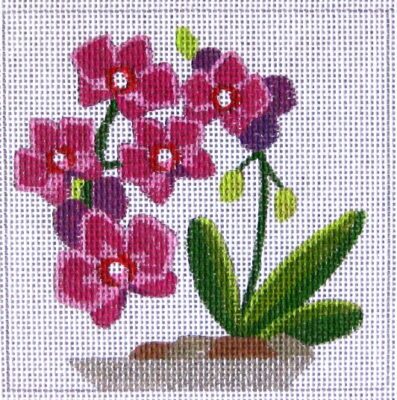 Orchids w/Stitch Guide (Raymond M Crawford)