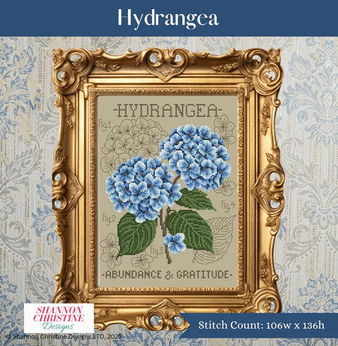 Hydrangea (Shannon Christine)