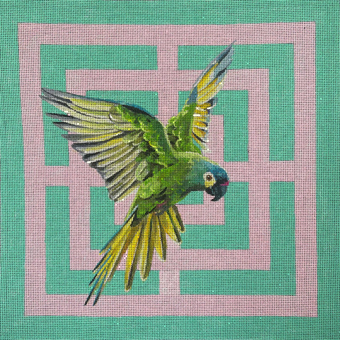 AN547 (Colors of Praise)