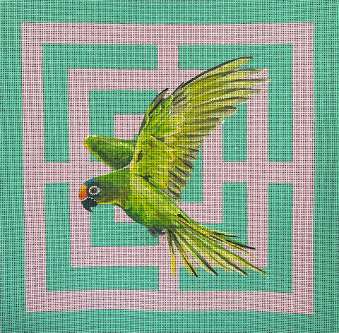 AN546 (Colors of Praise)