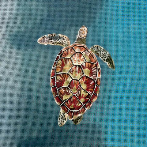 GIA03 - Sea Turtle (Colors of Praise)