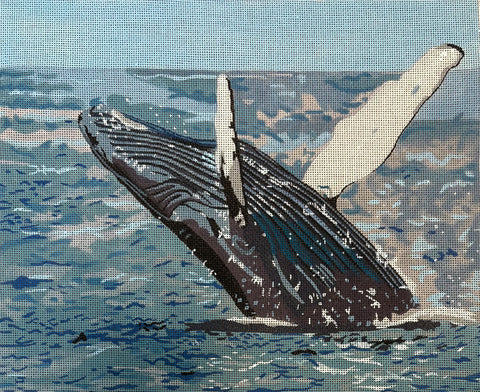 GIA08 - Whale (Colors of Praise)