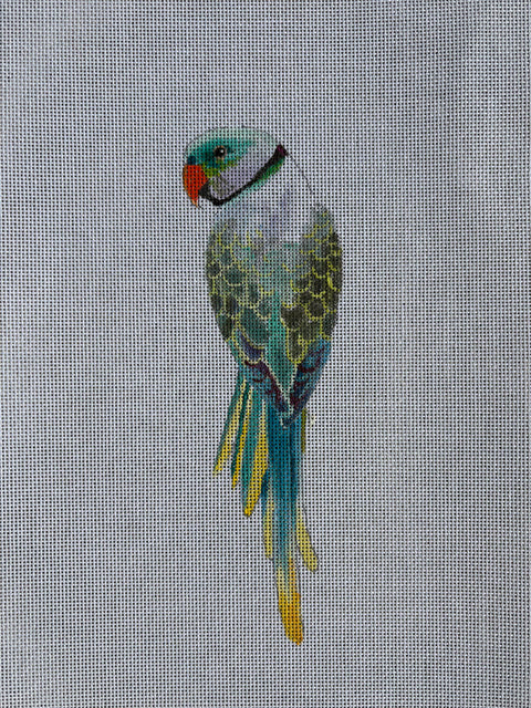 AN551 (Colors of Praise)