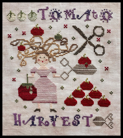 Tomato Harvest (Lucy Beam)