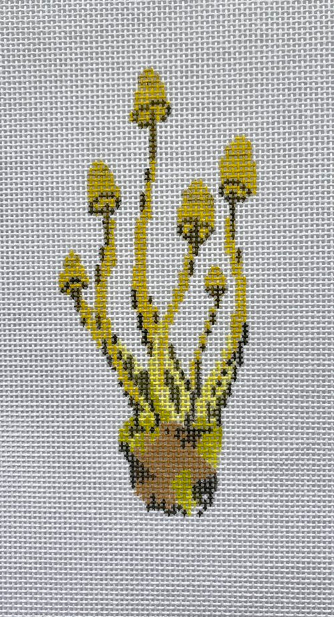 Mushroom Series - Honey (The Plum Stitchery)